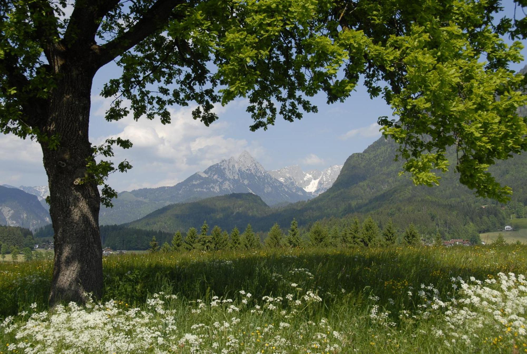 Gaestehaus Bramboeck บาด ฮาริง ภายนอก รูปภาพ